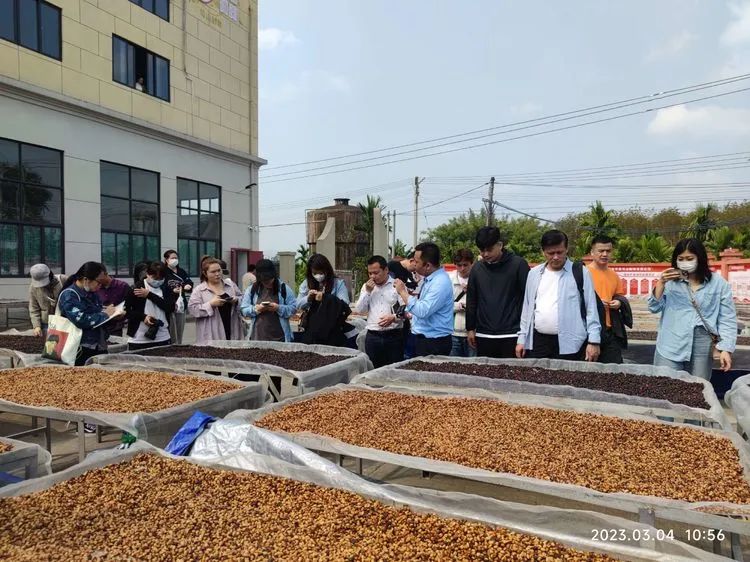 碳纖維加工的應用領域有哪些？